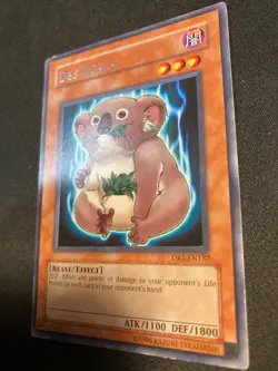 Des Koala DR1-EN132 - LP - Rare - Unlimited - Goat Format - Image 3