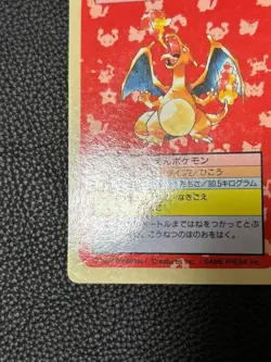 1995 Pokemon Card Top Sun 8 Card Lot Japanese 7x Blue 1x Green Charizard Pikach - Image 5