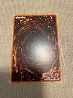 Yu-Gi-Oh! dinowrestler coelasilat mint common 1st ed DANE-EN007 - Image 2