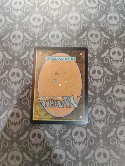 Sunscour Coldsnap Regular - Image 4