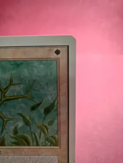 Green Ward - Unlimited - Excellent Cond! - MTG - Magix the Gathering - Image 4