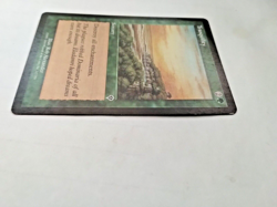MTG Tranquility Invasion 217/350 Regular Common NEW UNCIRCULATED - Image 5