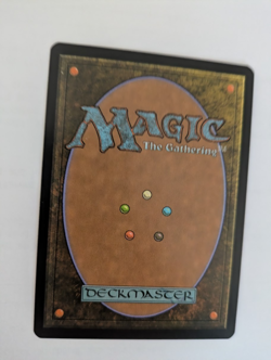 Sygg, River Cutthroat Shadowmoor MTG NM Free shipping with tracking - Image 2