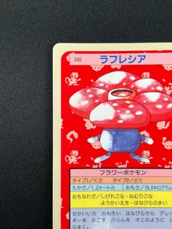 [NM] Vileplume Topsun Blue Back 045 Pokemon Card Japanese 1995 10A21 - Image 4
