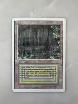 MTG Dual Lands Full Set - Revised Edition - Ungraded NM-HP - Image 4