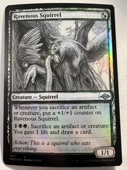 Ravenous Squirrel - FOIL SKETCH SHOWCASE - MTG Modern Horizons 2 - NM Uncommon - Image 1