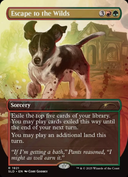 Dogs Are Better Than Cats NON-FOIL Secret Lair Magic The Gathering SEALED - Image 4