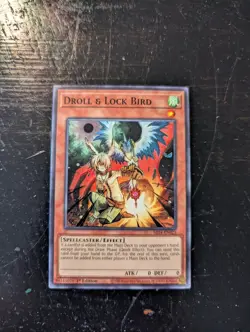 Droll & Lock Bird SR14-EN023 Common 1st Edition NM Yu-Gi-Oh Card - Image 1