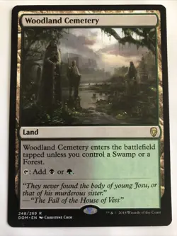 MTG Dominaria Woodland Cemetery 248/269 NM Rare - Image 1