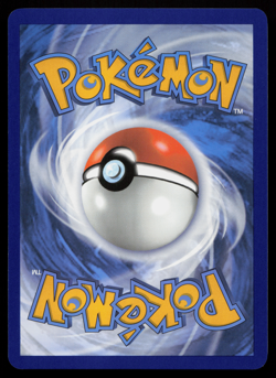 Fidough SVP 069 Scarlet & Violet Black Star Promo Near Mint Pokemon Card - Image 2