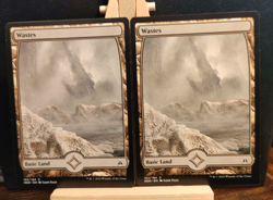 Full Art Wastes - 2 of Each Art - Oath of the Gatewatch 183 & 184 - NM (see pics - Image 4