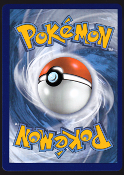 Flying Pikachu V 006/025 Holo Celebrations Pokemon TCG Card NM - Image 2