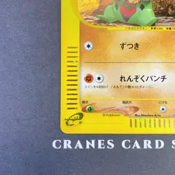 [NM-] Pokemon Card Larvitar 018/018 Holo McDonald's E-series Promo Japanese 2002 - Image 4