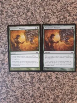 MTG - 2 x Predator's Rapport - Gatecrash - Image 1