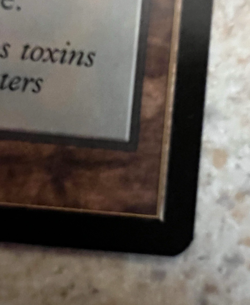 MTG English Magic Card NM Retro Frame POLLUTED DELTA from Modern Horizons 3 - Image 4
