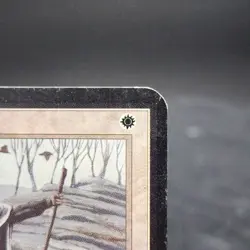 Consecrate Land Alpha Edition MTG HP Magic Trading Card Vintage 🌟🃏 - Image 3