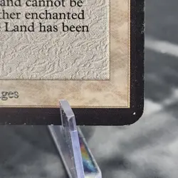 Consecrate Land Alpha Edition MTG HP Magic Trading Card Vintage 🌟🃏 - Image 5