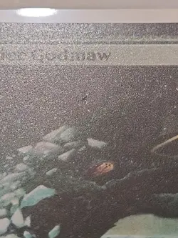 Glacier Godmaw - Edge of Eternities - LP - MTG Magic - Uncommon - Creature - Image 2