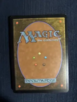 Soul Warden Core Set 2010 (M10) Regular - Image 2
