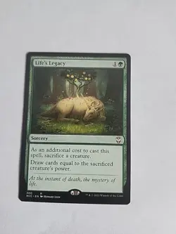 Life's Legacy NCC Regular - Image 1