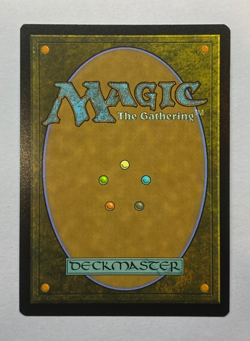 MTG - Secret Lair: Everyone's Invited - Plains Lot (#41, #43, #45) - NM - Image 5