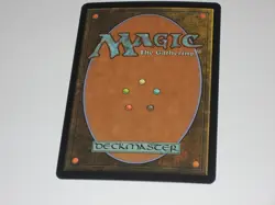 MTG - FOIL - Primordial Sage - Ravnica: City of Guilds - NM - Image 2