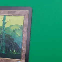 Lodge Wirewood Magic the Gathering Onslaught Uncommon Card - Image 3