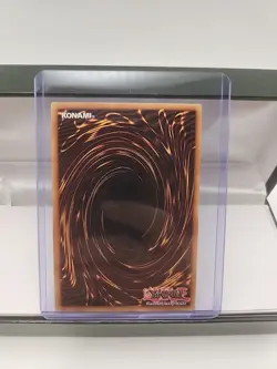 Polymerization DPYG-EN020 - Yugi - Unlimited - Image 3