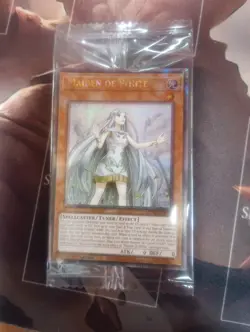 Maiden of White - SDWD-EN041 - Quarter Century Secret Rare - 1st Edition NM YuGi - Image 1