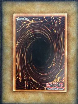 Yugioh Black-Winged Dragon TSHD-EN040 TSHD-FR040 Ultimate Rare LP FRENCH - Image 2