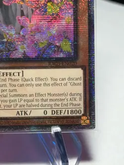 Yugioh Ghost Sister & Spooky Dogwood Alternate Art RA03-EN020 Quarter Century NM - Image 4