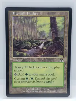 MTG Tranquil Thicket Onslaught Regular Common - Image 1