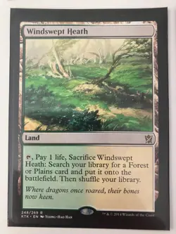 4x Windswept Heath - Khans of Tarkir - NM/LP - Magic the Gathering Playset - MTG - Image 4