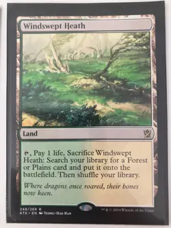 4x Windswept Heath - Khans of Tarkir - NM/LP - Magic the Gathering Playset - MTG - Image 5