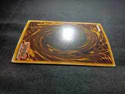 Yu-Gi-Oh Dark Paladin DMG-001 Secret Rare Limited Edition LP - Image 5