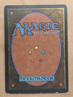 Magic The Gathering Dual Land Bayou - Image 2