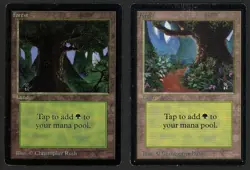 ***2x Beta Forest*** MTG Beta Magic Kid Icarus - Image 1