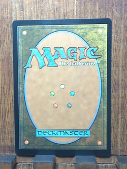 MTG🌳 Savage Order (Borderless) Universes Beyond: Jurassic World NEAR MINT💕❤ - Image 3