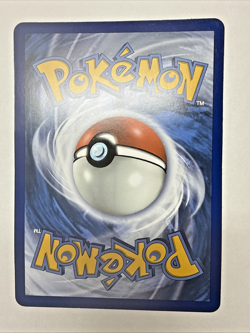 2019 Pokemon Charizard & Braixen GX SM230 SM Tag Team Holo Promo - Image 2