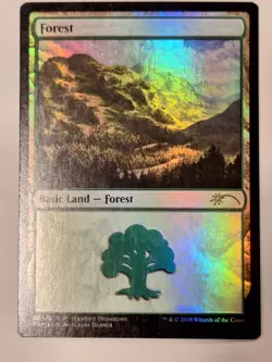 Forest - FOIL Alayna Danner Standard Showdown Promo - Magic the Gathering MTG - Image 1