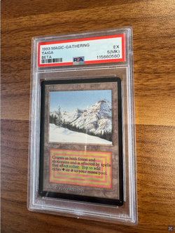 1993 Magic the gathering beta Taiga PSA 5(MK) - Image 1