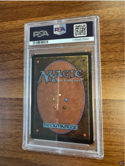 1993 Magic the gathering beta Taiga PSA 5(MK) - Image 2