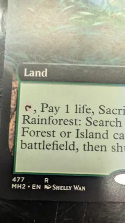 Misty Rainforest (Extended Art) Modern Horizons 2 MTG - Image 5