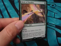 Birds of Paradise MTG - Image 1