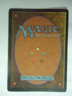 MTG Ertai, Wizard Adept Exodus NM/M Actual picture of the card FREE SHIPPING - Image 2