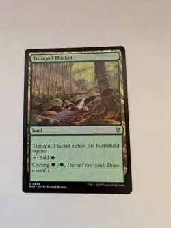 Magic: The Gathering Land - MTG NM Tranquill Common Regular - Image 1