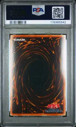 PSA10 YuGiOh 2008 Black Rose Dragon Ghost Rare CSOC Crossroads of Chaos Japanese - Image 2