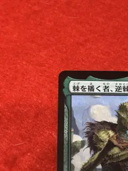 MTG Bristly Bill, Spine Sower 157 Japanese - Image 3