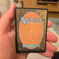 Relentless Rats (0010) Borderless ✨ Foil✨ Secret Lair MTG NM - Image 2