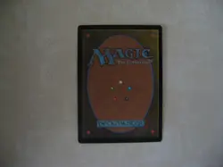 MTG -- Anthologies -- Brushland -- LP/NM - Image 2